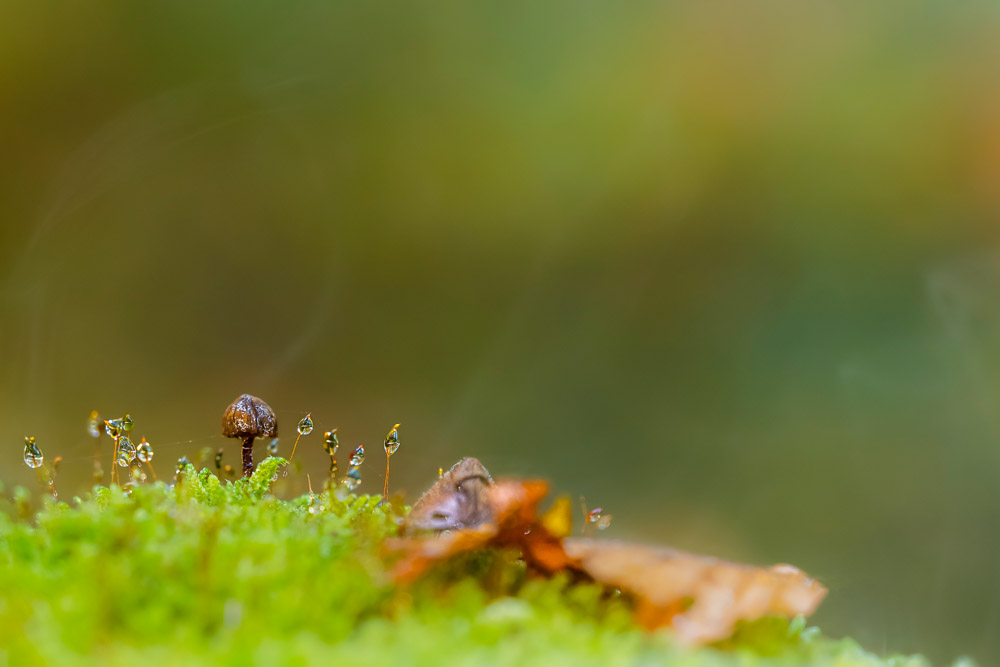 Platz 10 Conny Kleiner